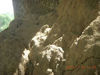 120 8f2. Uganda - Murcheson Falls National Park - termite mound