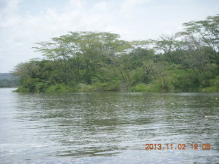 Uganda - Murcheson Falls National Park boat ride - bird