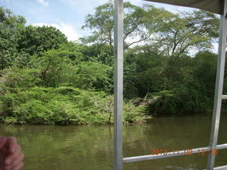 Uganda - Murcheson Falls National Park boat ride - bird in tree