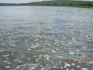 185 8f2. Uganda - Murcheson Falls National Park boat ride - fractal style water