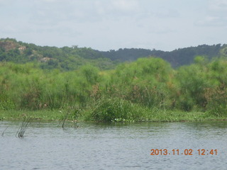 Uganda - Murcheson Falls National Park boat ride - bird in tree