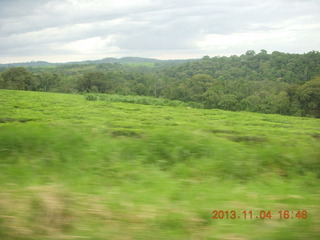 106 8f4. Uganda - drive to chimpanzee park