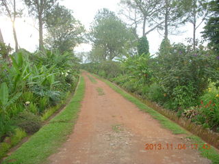 121 8f4. Uganda - farm resort
