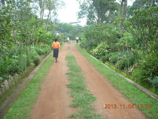 Uganda - farm resort