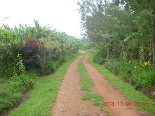 144 8f4. Uganda - farm resort run