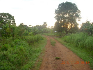 10 8f5. Uganda - farm resort run