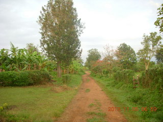 11 8f5. Uganda - farm resort run