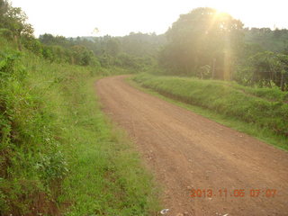13 8f5. Uganda - farm resort run