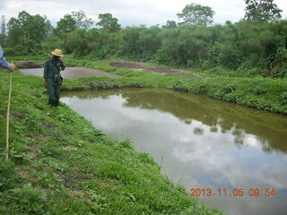 34 8f5. Uganda - farm resort - walk in the forest - water pond with fish