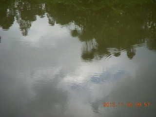 36 8f5. Uganda - farm resort - walk in the forest - ripples in the water pond