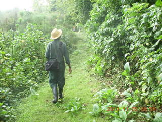 39 8f5. Uganda - farm resort - walk in the forest - Robert