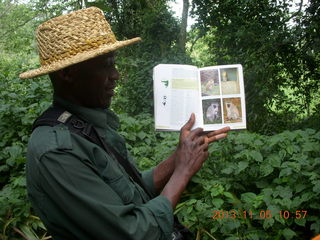 66 8f5. Uganda - farm resort - walk in the forest - monkey book