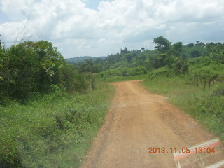 Uganda - farm resort - walk in the forest