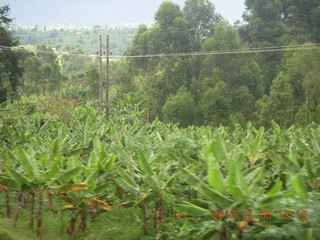 Uganda - farm resort