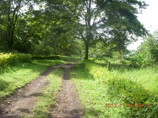 40 8f6. Uganda - Tooro Botanical Garden