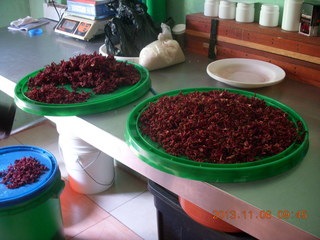 49 8f6. Uganda - Tooro Botanical Garden - herb drying