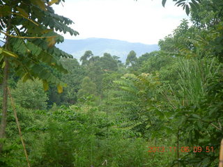 Uganda - Tooro Botanical Garden - herb drying