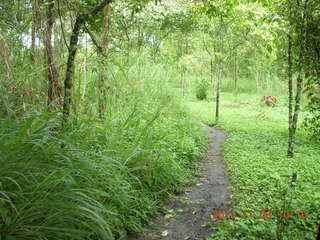 88 8f6. Uganda - Tooro Botanical Garden