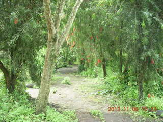 101 8f6. Uganda - Tooro Botanical Garden
