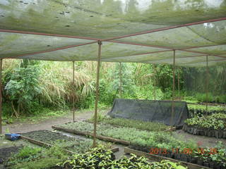 108 8f6. Uganda - Tooro Botanical Garden
