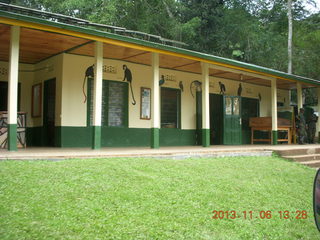 171 8f6. Uganda - Primate Lodge Kabile chimpanzee park