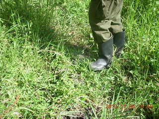 215 8f6. Uganda - Primate Lodge Kabile chimpanzee park - elephant footprint water hole