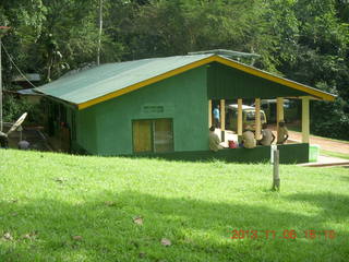 232 8f6. Uganda - Primate Lodge Kabile chimpanzee park