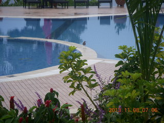 Uganda - Entebbe - Protea Hotel  pools