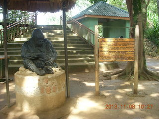 67 8f8. Uganda - Entebbe - Uganda Wildlife Education Center (UWEC) - sign and gorilla sculpture