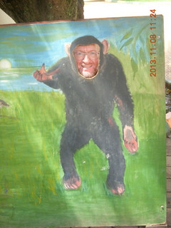 148 8f8. Uganda - Entebbe - Uganda Wildlife Education Center (UWEC) - Adam's face in ape sign