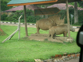 189 8f8. Uganda - Entebbe - drive to Protea Hotel - rhinoceros sculpture