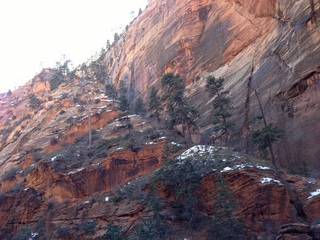 Zion National Park - Angels Landing hike - Adam's head in rock