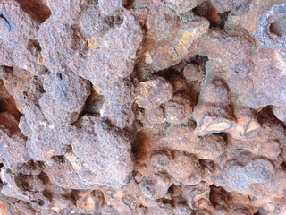 123 8gt. Zion National Park - Angels Landing hike - rock texture