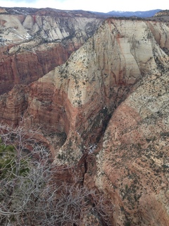 41 8gu. Zion National Park - Cable Mountain hike end view