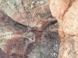 45 8gu. Zion National Park - Cable Mountain hike end view