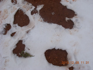 77 8gu. Zion National Park - Cable Mountain hike - some kind of footprint