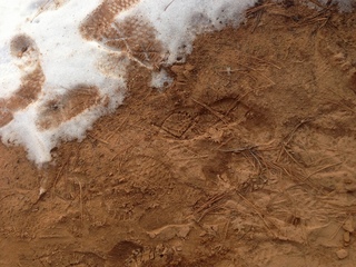 196 8gu. Zion National Park drive - yaktrax footprint