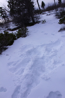 230 8gu. Zion National Park - Cable Mountain hike - Brian's snow angel
