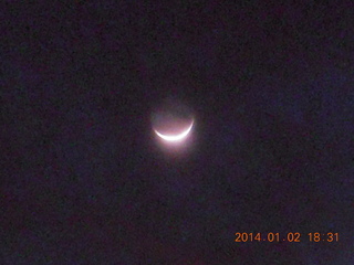 Uganda - Mountain of the Moon hotel - birds