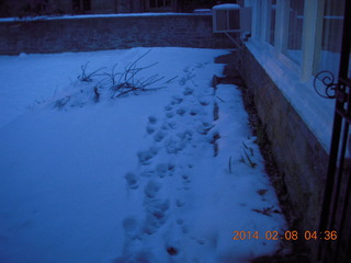 snow with downed wires at Betsy's place