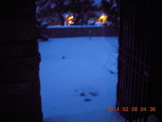 snow with downed wires at Betsy's place