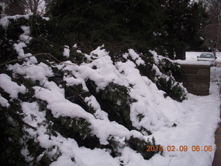 snow in walkway with downed tree Betsy's house