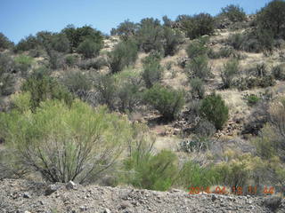 Bagdad hike (my old running loop)