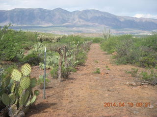 Bouquet Ranch