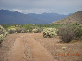 Bouquet Ranch run