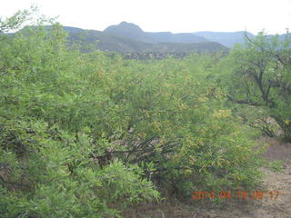 Bouquet Ranch run