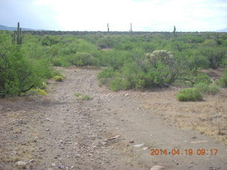 Bouquet Ranch run