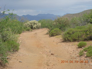 Bouquet Ranch run