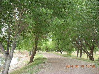 Bouquet Ranch airstrip - wooded path