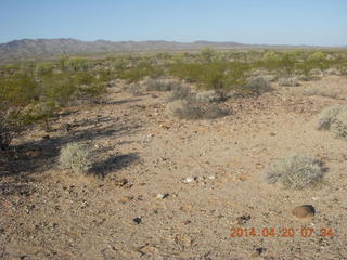 Alamo Lake airstrip run